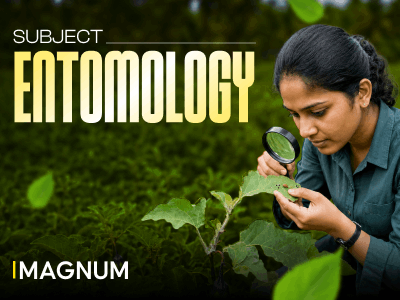 Magnum - Entomology