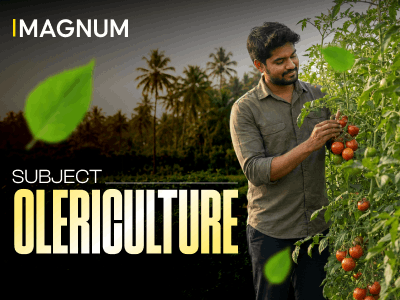 Magnum - Olericulture