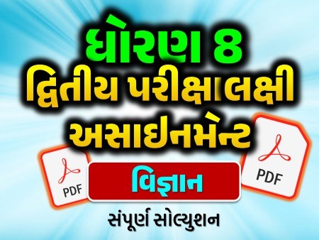 STD 8 વિજ્ઞાન દ્વિતીય સત્ર અસાઇનમેન્ટ 2025