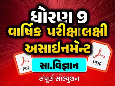 STD 9 સામાજિક વિજ્ઞાન વાર્ષિક પરીક્ષાલક્ષી અસાઇનમેન્ટ 2025