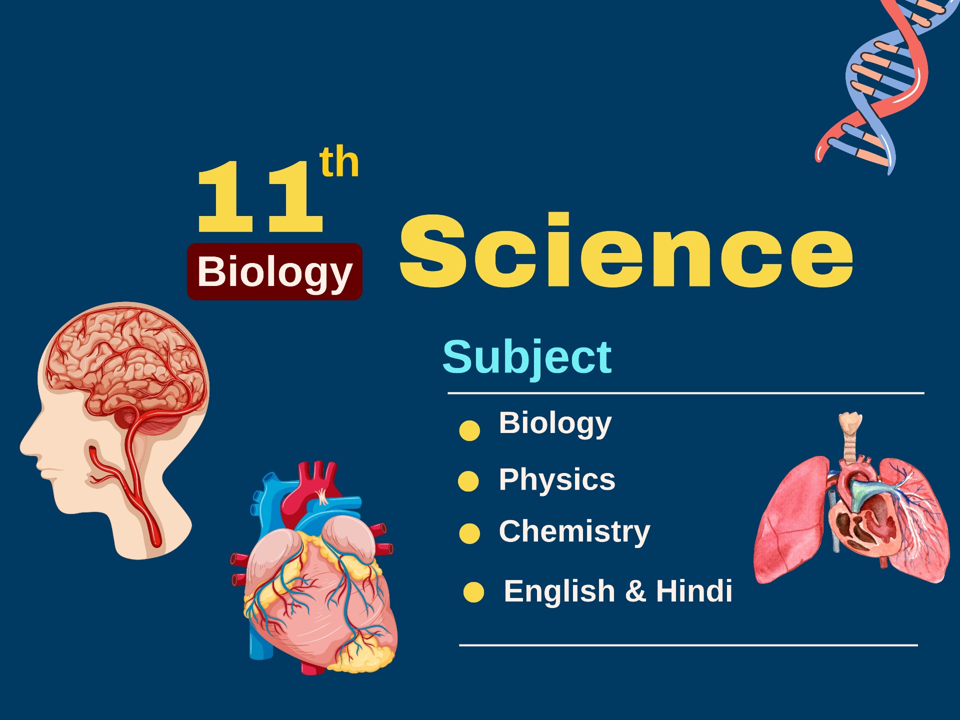 11th Biology Hindi Medium